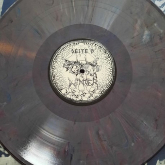 WINTER Netherlands into Darkness  LP GREY MARBLE [VINYL 12